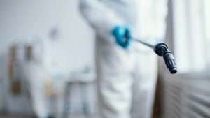 Read more about the article Why Does Commercial Cockroach Treatment in Sydney Fail Sometimes