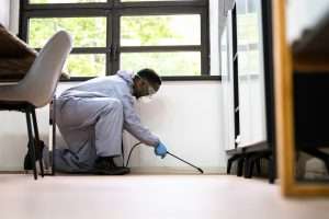 Read more about the article What Ryde Businesses Should Know About Year-End Pest Control