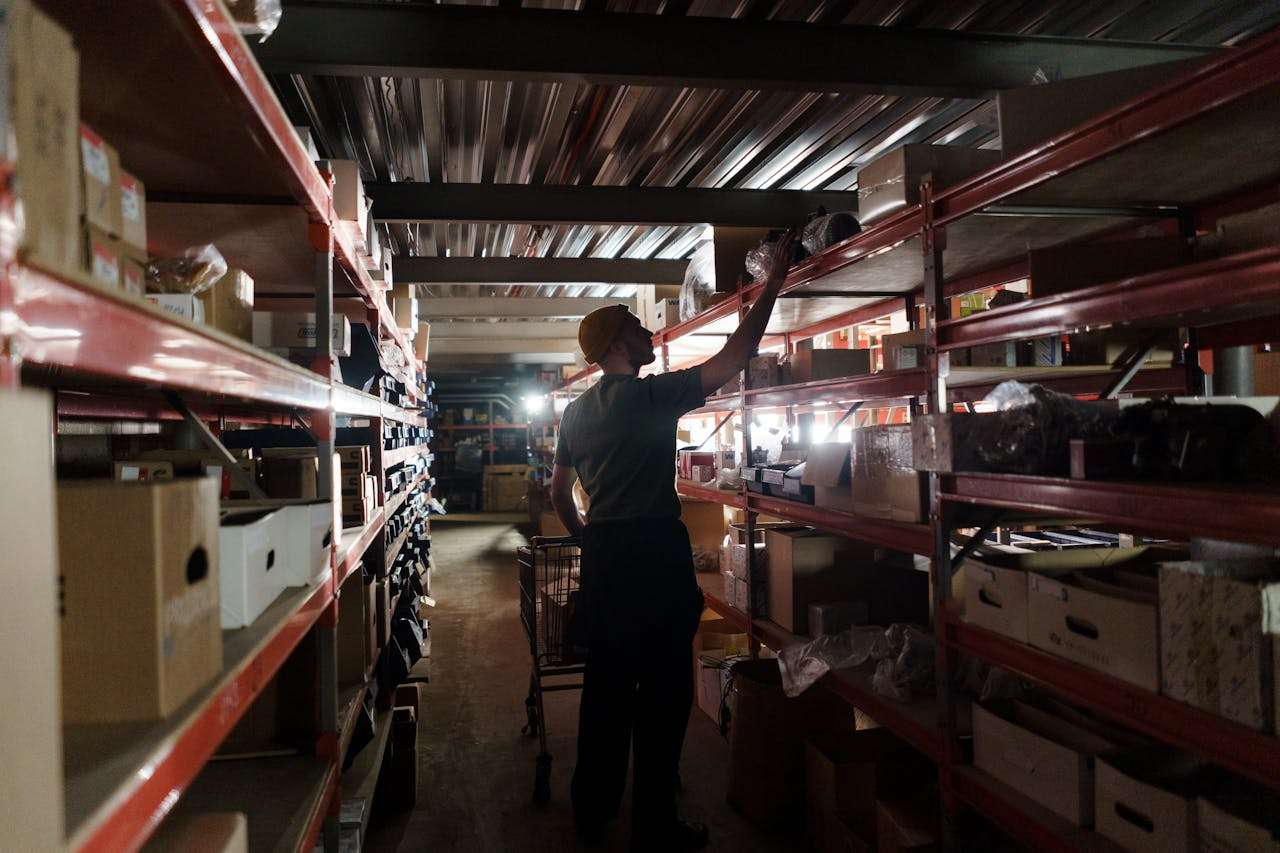 You are currently viewing Why Do Cockroaches Love Sydney Warehouses in Summer