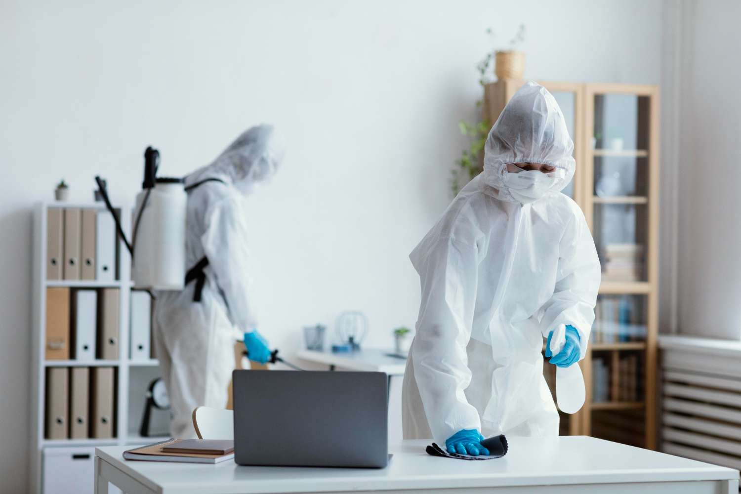 You are currently viewing Understanding Commercial Pest Inspections for Parramatta Businesses