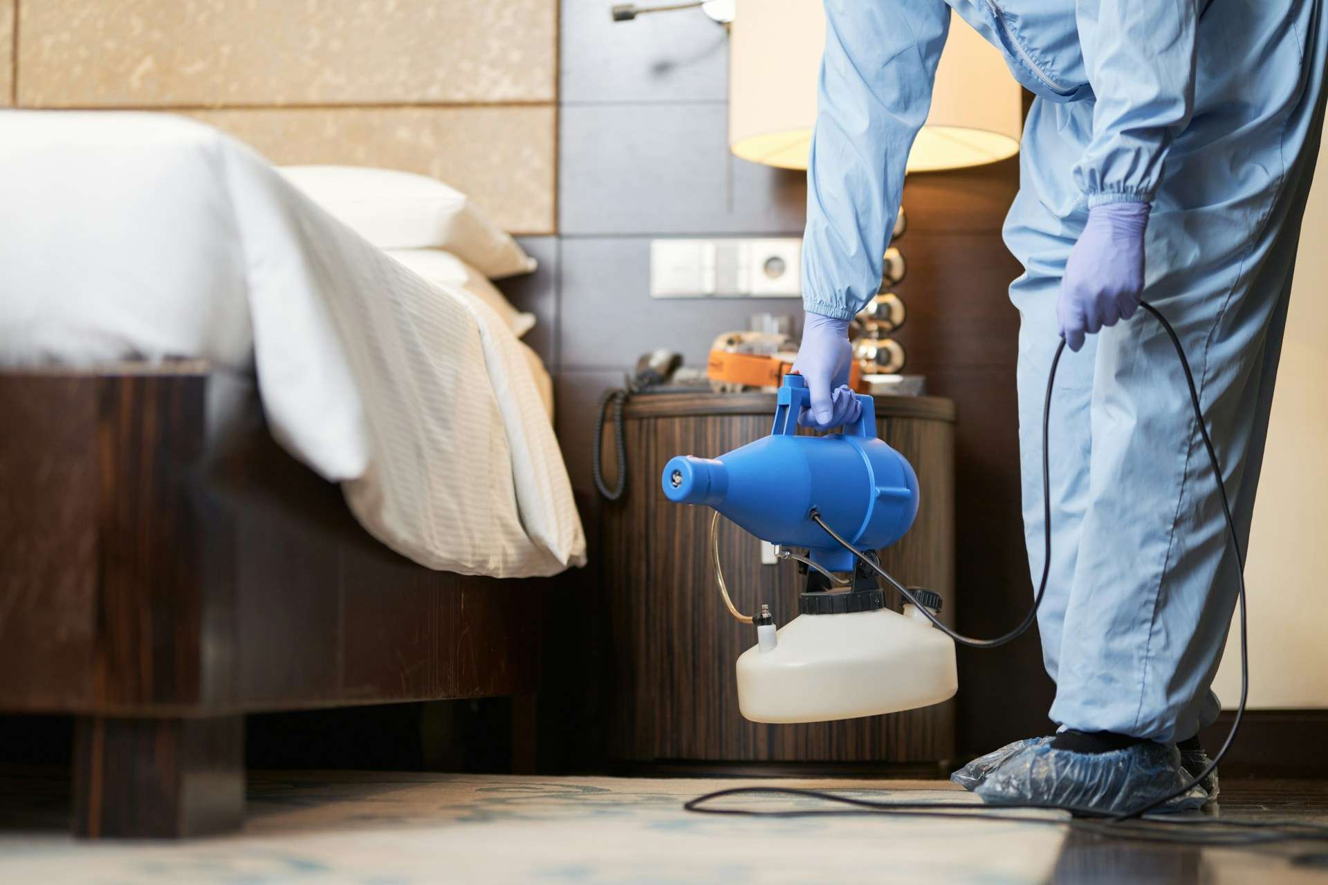 You are currently viewing How Dusty Carpets Invite Pests Into Sydney Homes