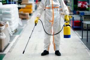Read more about the article How Commercial Pest Plans Protect Sydney’s Northern Suburbs