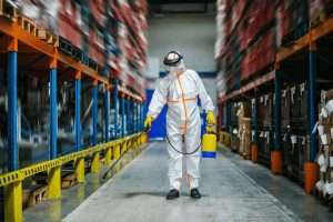 Read more about the article Common Warehouse Pests in Parramatta and How to Prevent Them
