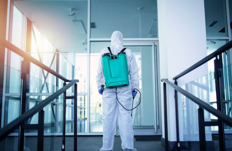 You are currently viewing Questioning a Pest-Free Claim Before Leasing a Ryde Office