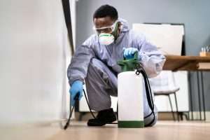Read more about the article Unexpected Pest Pressures in Ryde Offices After Hybrid Work Shifts