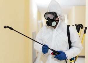 Read more about the article Protecting Parramatta Warehouses From Termite Surprises in Stock Areas