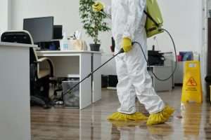 Read more about the article Can Office Pest Control in Ryde Improve Staff Wellbeing?