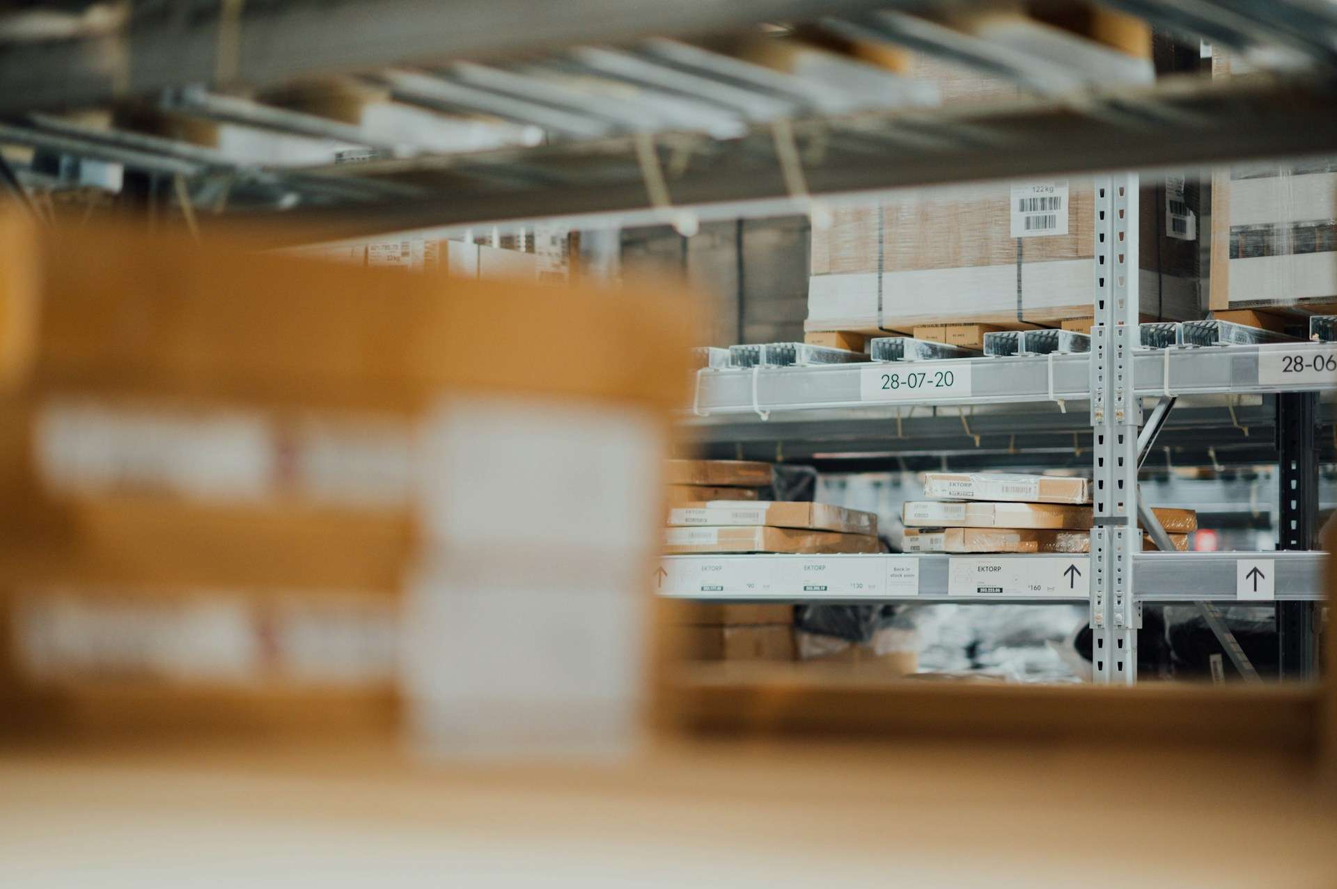 You are currently viewing Parramatta Warehouse Termite Risk: Materials, Entry Points, Monitoring