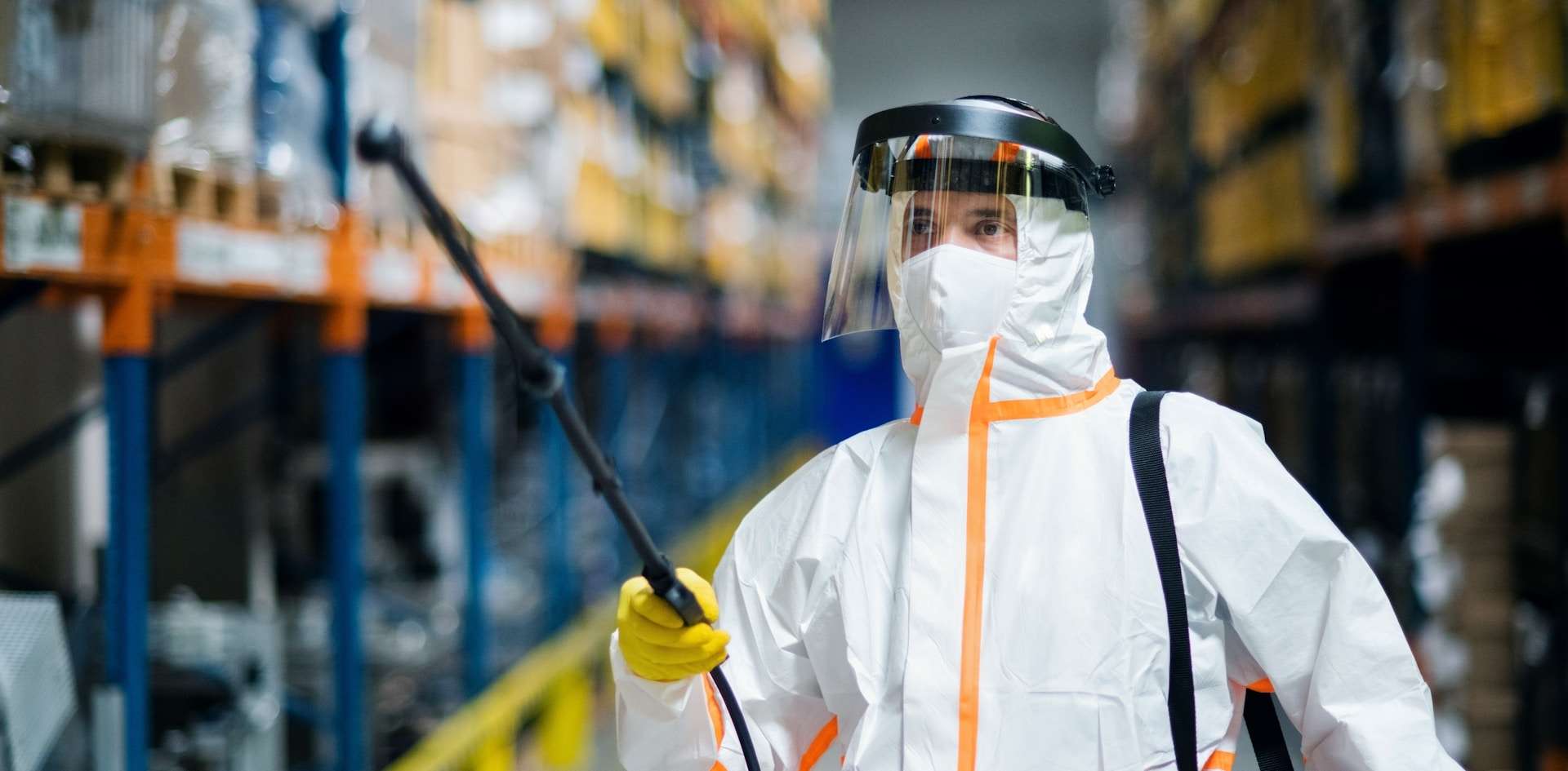 You are currently viewing Termite Risk Management for Parramatta Warehouses: Insurance and Audits
