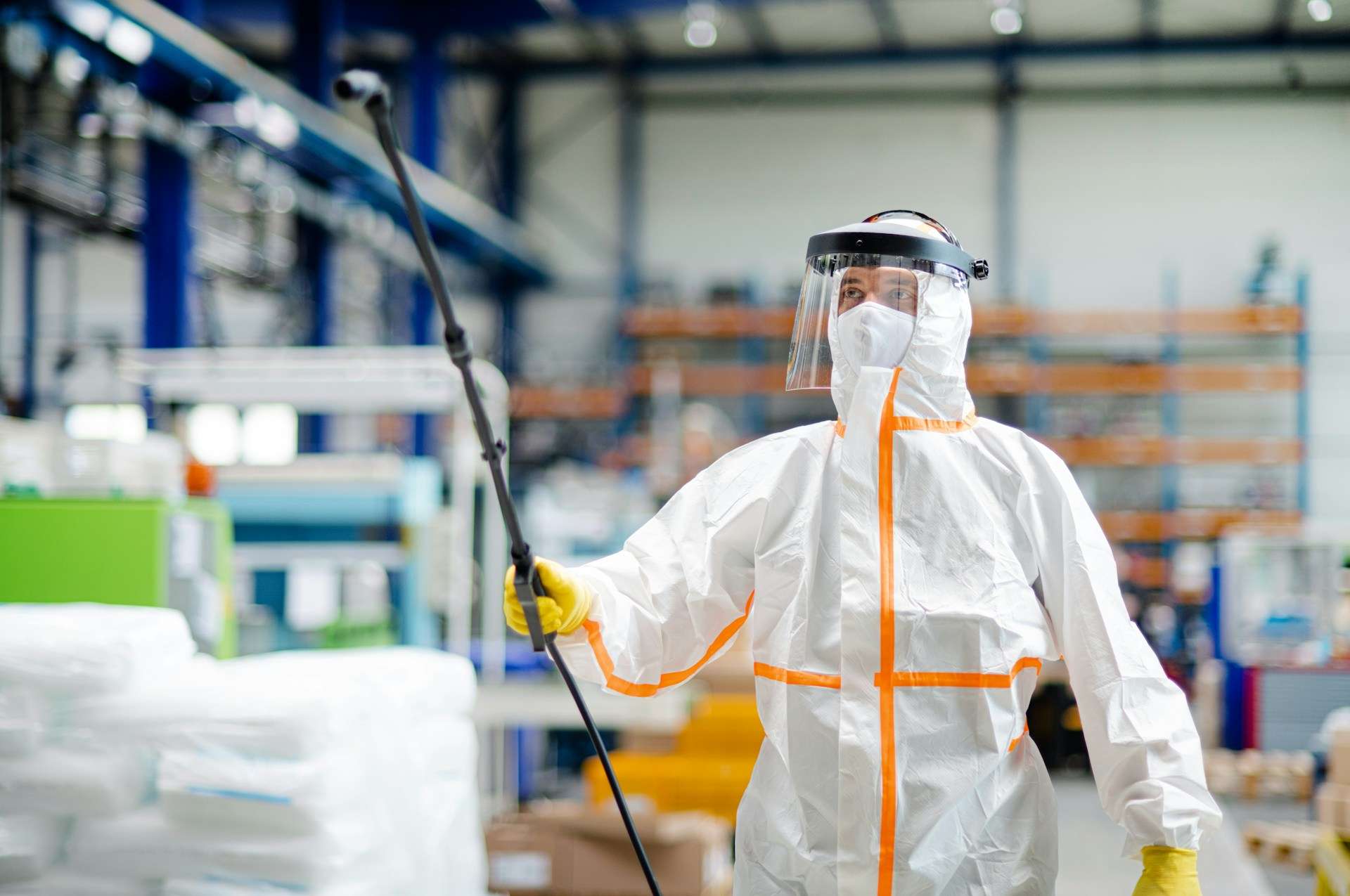You are currently viewing Hidden Pest Risks in Parramatta Warehouses During Renovations