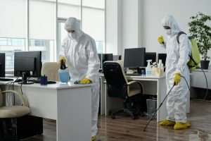 Read more about the article Managing Industrial Pest Control in Parramatta During Night Shifts