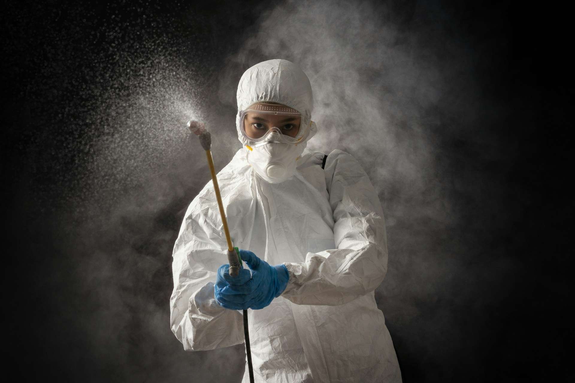 You are currently viewing Should Ryde Hotels Rely on In-House Pest Checks or Professional Control?