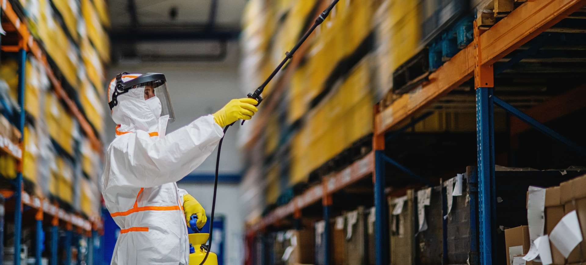 You are currently viewing Rethinking Ryde Commercial Pest Management for Multi-Site Businesses